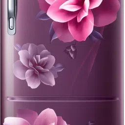 183 L Direct Cool Single Door 3 Star Refrigerator-11