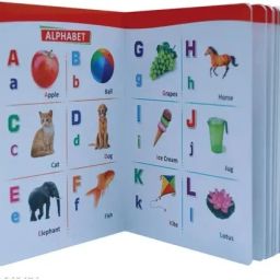Kids All in one hard book for Pre School child Hindi And English Language-picture-11