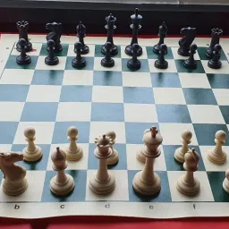 Premium Chess Set 10 cm Chess Board-picture-45