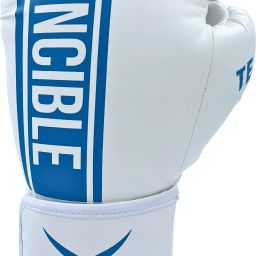 Solar Activated Tejas Training Gloves Boxing Gloves-image-11