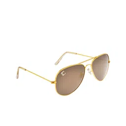 Clark N Palmer Unisex Brown Lens & Gold-Toned Aviator Sunglasses with UV Protected Lens-32