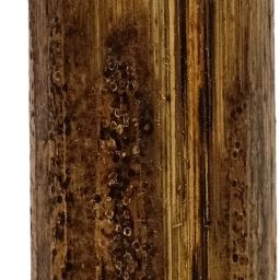 3 feet long classroom stick (Cane made) Walking Stick-image-2