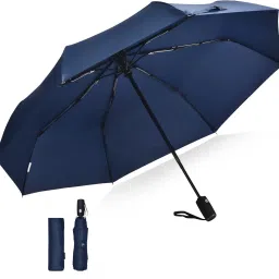 Auto Open Close Lightweight Compact 3 Fold Umbrella for man & woman Umbrella-24