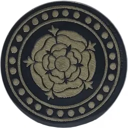 Phenolic Resin Carrom Striker-picture-8