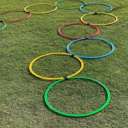 Agility Ring Ladder Pack Of 12 Hoop Set-picture-19