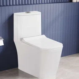 Rimless Commode for Toilet/One Piece Western Toilet/Commode (9 inch) S-Trap DUCK Western Commode-22