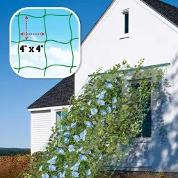 world net enterprise WNE-18PCN10F*15F Hiking Net image 3