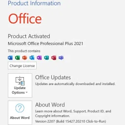 MICROSOFT Office Professional Plus 2021 ( 1 User, Lifetime License) image 4