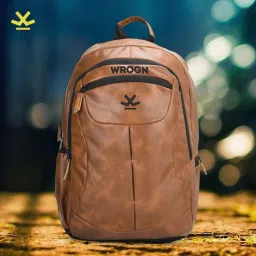 Large 35 L Laptop Backpack ARC Unisex with Rain Cover-69