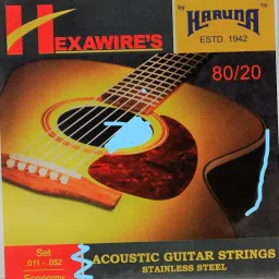 Acoustic ECP Guitar String-99