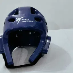 Taekwondo WT Imported Head Guard Karate Martial Arts Helmet Large Size Boxing Head Guard-image-60