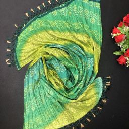 Chiffon Printed Light Green Women Dupatta-picture-24