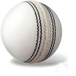 Tennis Cricket Leather Soft Season Ball (White) Cricket Leather Ball-image-36