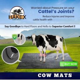 hakex COW MAT-Waterproof Rubber(Mat 8*5 Feet)BPA Free For Horse-AC Cow, Dog, Hamster, Guinea Pig, Miniature Pig Pet Mat-picture-16
