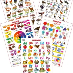 Set of 5 Educational Large Wall Charts : ( Domestic Animals , Birds , Colours , Shapes & English Alphabets )-14