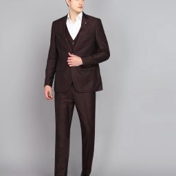 Men 3 Piece Suit Textured Suit-image-86