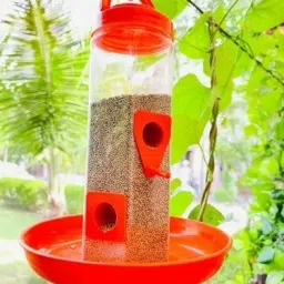 Window Bird Feeder Bird Feeder-image-55