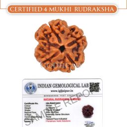 GODHEAD 100% NATURAL/ORIGINAL CERTIFIED NEPALI 4 MUKHI RUDRAKSHA WOOD PENDANT Wood Pendant-image-28