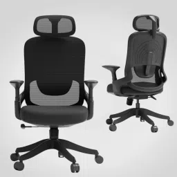 SPYNOX High Back Ergonomic Revolving Executive | 2D Adj Head | Lumber Support | Nylon, Fabric, Mesh Office Arm Chair-picture-42