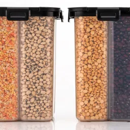 Plastic Grocery Container- 2500 ml-19