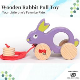 Wooden Push Toy & Pull Along Toys Rabbit Toy Pack of 1-10