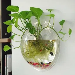 1 L Fish Bowl-image-45