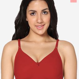 In Care Pack Of 2 Full Coverage Non Padded Seamless T-shirt Bra - All Day Comfort-picture-33