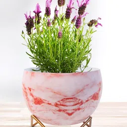 Nymph Reva Home Pink & Red 2 Pieces Printed Indoor Flower Pot With Stand-1