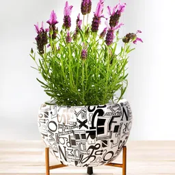 Nymph Reva White & Black 2 Pieces Printed Flower Planters With Stand-17