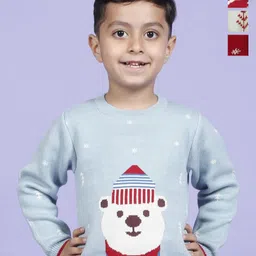Greendeer Kids Self Designed Skin Friendly Pure Cotton Sweaters With Trousers-31