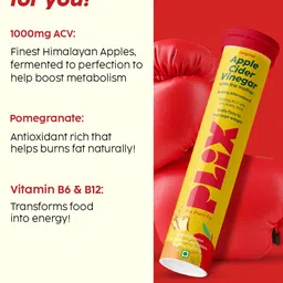 PLIX THE PLANT FIX Set of 4 Apple Cider Vinegar Effervescent Tablet -Mango - 15 Tabs Each image 2