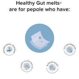 Wellbeing Nutrition Melts Into Healthy Gut Mixed Berry Blast Thin Oral Strips - 30 Strips image 2