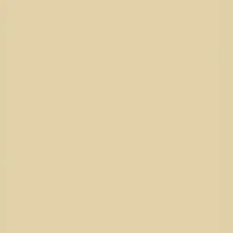 SPACES Cream Coloured Hygro 350 TC Cotton King Bedsheet Set image 4