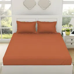 SPACES Rust Everyday Essentials 144 TC Cotton King Bedsheet Set-image-55