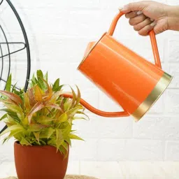 Orange Metal 1.5 L Watering Can By Gold Dust-picture-23