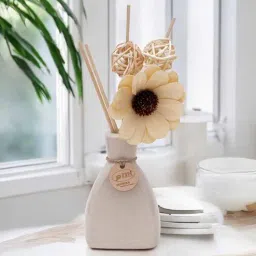 voidrop Reed Diffuser & Reed Sticks Gift Set-picture-45