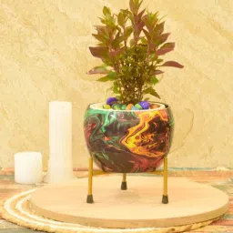 sone key chidiya Temperance Iron Multicolour Desk Pot-picture-12