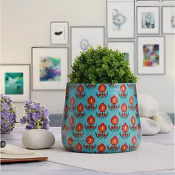 Homspurts Long Dish  Green & Red Printed Metal Planter-4