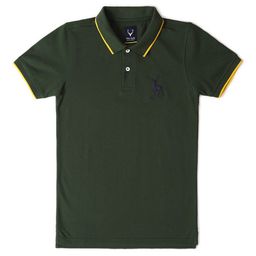 Allen Solly Junior Boys Polo Collar T-shirt-picture-46