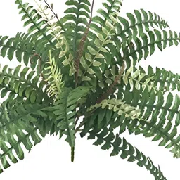 WELL ART GALLERY Green Fern Artificial Plant-image-67