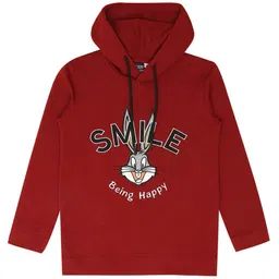 CAVIO Boys Graphic Printed Long Sleeve Hooded Pure Cotton Pullover Sweatshirt-image-63