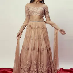 Renee Label Embroidered Ready to Wear Lehenga & Blouse With Dupatta-49