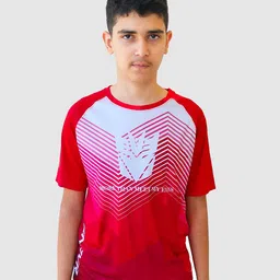 F&S Boys Graphic Printed Raglan Sleeves Moisture Wicking T-shirt-image-3
