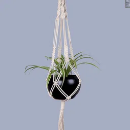 Homesake Black & Off-White Macrame Hanging Planter With Pot-image-32
