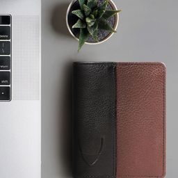 Hidesign Men Black & Brown Colourblocked Leather Two Fold Wallet-11
