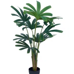 Home Bloom Green 1 Pieces Artificial Plant With Pot-image-36