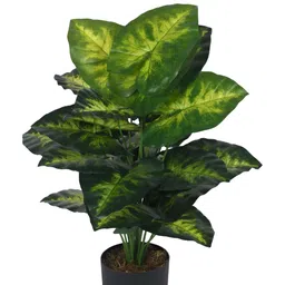 Home Bloom Green 1 Pieces Artificial Plant With Pot-image-31