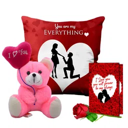 ME & YOU 4 Pieces Pink & Red Rose Doll & Printed Cushion  Valentine's Gift-image-60
