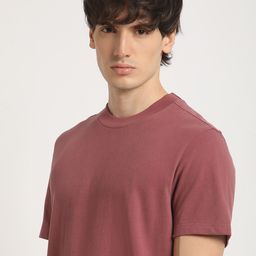 THE BEAR HOUSE Round Neck Pure Cotton Relaxed Fit T-shirt-image-22