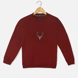 Allen Solly Junior Boys Printed Sweatshirt-picture-28